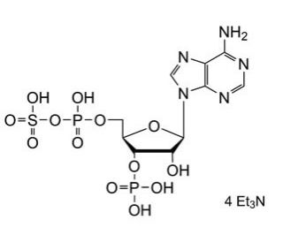 Adenosine 3&prime;-Phosphate 5&prime;-Phosphosulfate Triethylammonium Salt (CAS 936827-87-1) - chemical structure image