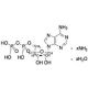 Adenosine 5′-Diphosphate-13C5 Ammonium Salt Hydrate - chemical structure image