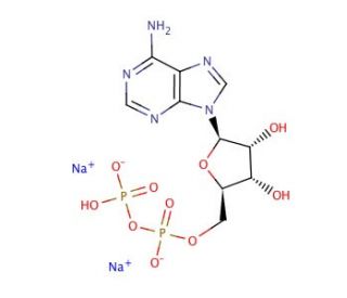 Adenosine 5&prime;-Diphosphate disodium salt (CAS 16178-48-6) - chemical structure image
