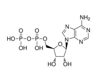 Adenosine-5&prime;-Diphosphate, free acid (CAS 58-64-0) - chemical structure image