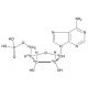 Adenosine 5'-Monophosphate-13C5 的分子结构, CAS编号: 61-19-8 Adenosine 5′-Monophosphate-13C5 (CAS 61-19-8) - chemical structure image