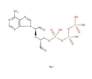 Adenosine 5&prime;-triphosphate, periodate oxidized sodium salt (CAS 71997-40-5) - chemical structure image
