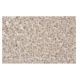ADH4 Antibody (NB-B2) - Immunohistochemistry - Image 64826