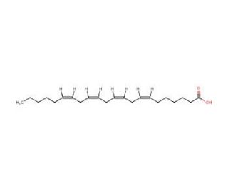 Adrenic Acid (22:4, n-6) (CAS 28874-58-0) - chemical structure image