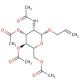 Allyl 2-Acetamido-3,4,6-tri-O-acetyl-2-deoxy-β-D-glucopyranoside 的分子结构, CAS编号: 28738-44-5 Allyl 2-Acetamido-3,4,6-tri-O-acetyl-2-deoxy-β-D-glucopyranoside (CAS 28738-44-5) - chemical structure image