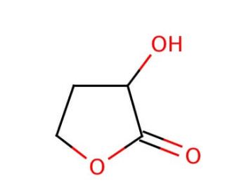 &alpha;-Hydroxy-&gamma;-butyrolactone (CAS 19444-84-9) - chemical structure image