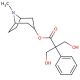 α-Hydroxymethyl Atropine 的分子结构 α-Hydroxymethyl Atropine - chemical structure image