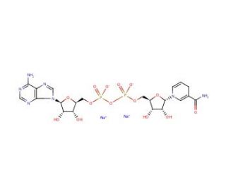 &alpha;-Nicotinamide adenine dinucleotide, reduced disodium salt (CAS 108321-31-9) - chemical structure image