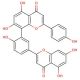 Amentoflavone (CAS 1617-53-4) - chemical structure image