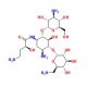 Amikacin (free base) (CAS 37517-28-5) - chemical structure image