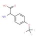 Amino[4-(trifluoromethoxy)phenyl]acetic acid (CAS 261952-24-3) - chemical structure image