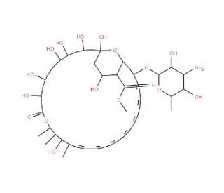 Amphotericin B Methyl Ester (CAS 1397-89-3 (non-esterized)) - chemical structure image