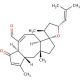 Anhydroepiophiobolin A 的分子结构 Anhydroepiophiobolin A - chemical structure image