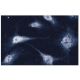 Annexin VII Antibody (5) - Immunofluorescence - Image 60550