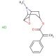 Aposcopolamine Hydrochloride Salt (CAS 890416-03-2) - chemical structure image