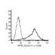 APRIL Antibody (Sacha-1) - Flow Cytometry - Image 67456