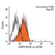 Aquaporin 4/AQP4 Antibody (4/18) - Flow Cytometry - Image 12355