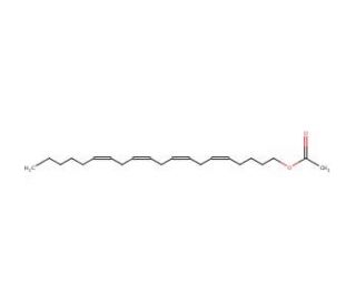 Arachidonyl acetate (CAS 56663-39-9) - chemical structure image