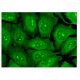 ARD Antibody (H-3) - Immunofluorescence - Image 302510 