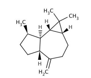 (+)-Aromadendrene (CAS 489-39-4) - chemical structure image