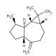 (+)-Aromadendrene 的分子结构, CAS编号: 489-39-4 (+)-Aromadendrene (CAS 489-39-4) - chemical structure image