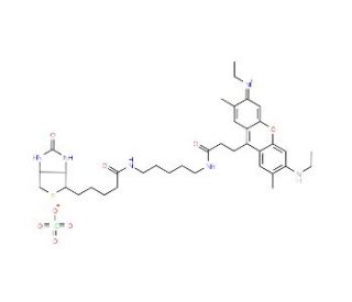 Atto 520-Biotin - chemical structure image