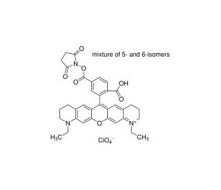 Atto 565 NHS ester - chemical structure image