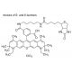 Atto 590-Biotin - chemical structure image