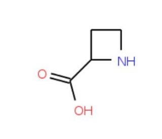 Azetidine-2-carboxylic acid (CAS 2517-04-6) - chemical structure image