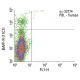 BAFF-R Antibody (11C1) - Flow Cytometry - Image 11472