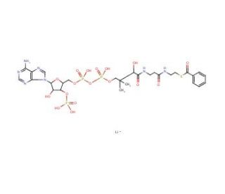 Benzoyl coenzyme A lithium salt (CAS 102185-37-5) - chemical structure image