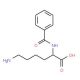 Benzoyl-L-lysine 的分子结构, CAS编号: 366-74-5 Benzoyl-L-lysine (CAS 366-74-5) - chemical structure image