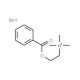 Benzoylcholine Bromide (CAS 24943-60-0) - chemical structure image