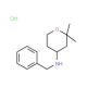 Benzyl-(2,2-dimethyl-tetrahydro-pyran-4-yl)-amine hydrochloride - chemical structure image