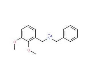 Benzyl-(2,3-dimethoxy-benzyl)-amine (CAS 128349-14-4) - chemical structure image