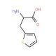beta-(2-Thienyl)-D-alanine (CAS 62561-76-6) - chemical structure image