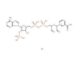 &beta;-NADP-dialdehyde (CAS 102281-43-6) - chemical structure image