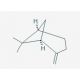 (+)-β-Pinene (CAS 19902-08-0) - chemical structure image