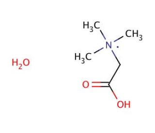 Betaine monohydrate (CAS 590-47-6) - chemical structure image