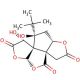 Bilobalide (CAS 33570-04-6) - chemical structure image