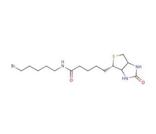 Biotin 5-Bromopentylamide (CAS 1217605-72-5) - chemical structure image