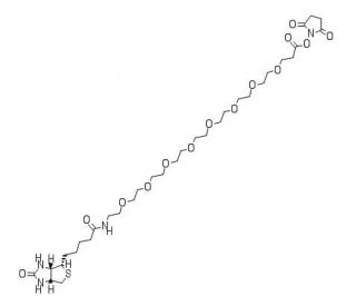 Biotin-PEG8-NHS ester (CAS 2143968-03-8) - chemical structure image