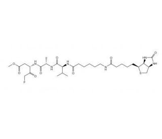 Biotin-VAD-FMK (CAS 1135688-15-1) - chemical structure image