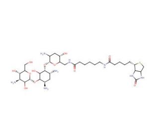 Biotinamidocaproate Tobramycin Amide (CAS 419573-19-6) - chemical structure image