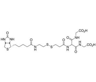 [Biotinylamidoethyl]-dithiomethylenemalonic Acid Bis(2-aminoethanoic Acid) - chemical structure image