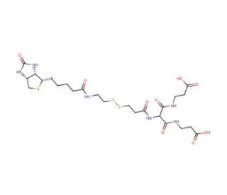 Biotinylamidoethyl]-dithiomethylenemalonic Acid Bis(3-aminopropionic Acid) - chemical structure image