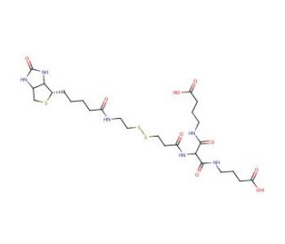 [Biotinylamidoethyl]-dithiomethylenemalonic Acid Bis(4-aminobutyric Acid) (CAS 1322625-02-4) - chemical structure image