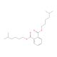 Bis(5-methylhexyl) Phthalate (CAS 90937-19-2) - chemical structure image