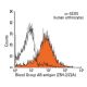 Blood Group AB antigen Antibody (Z5H-2/Z2A) - Flow Cytometry - Image 13749