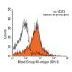 Blood Group M antigen Antibody (GH-9) - Flow Cytometry - Image 13750